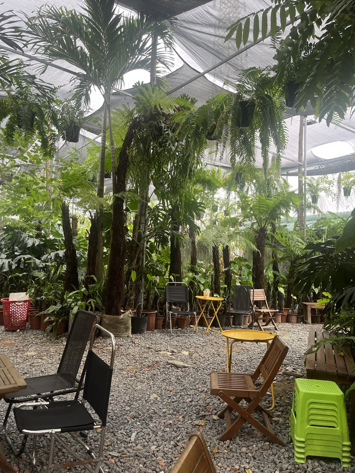 ค้นพบ Cafe Tiệm Cây Và Nước - สวรรค์ธรรมชาติในพื้นที่ Hòa Xuân