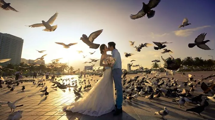 Khám Phá Công Viên Biển Đông Đà Nẵng: Bãi Biển Đẹp Và Không Khí Thư Giãn