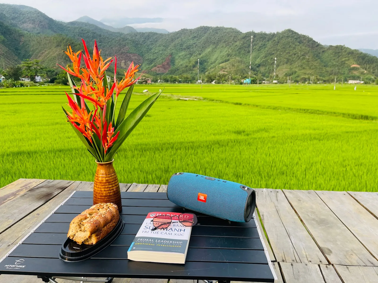 和北生态旅馆 (Hoà Bắc Ecolodge)：您需要了解的岘港生态旅游全攻略