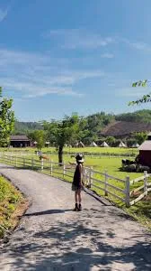 Tham quan farm & chụp ảnh check-in