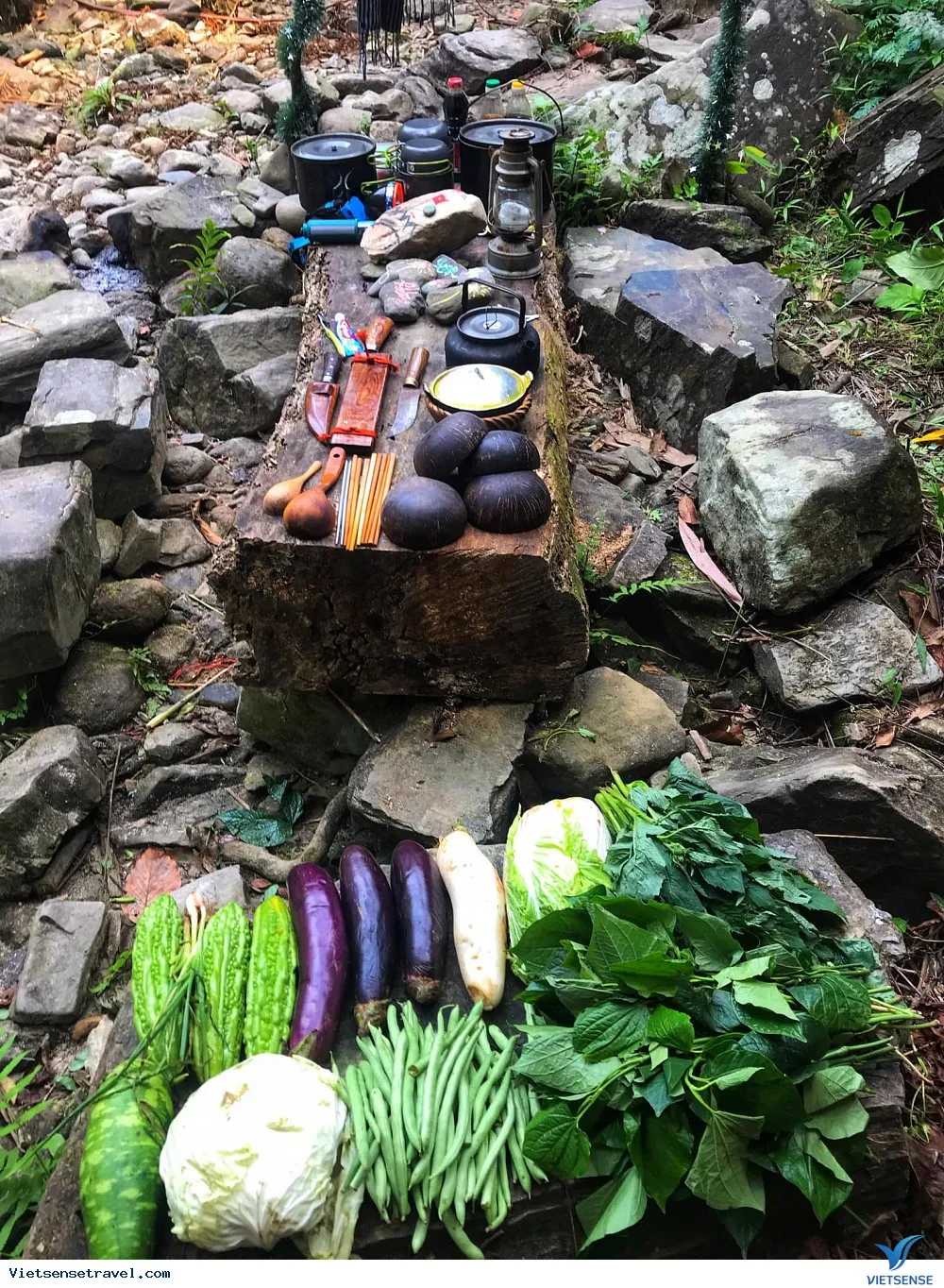 森林间的野餐/轻食
