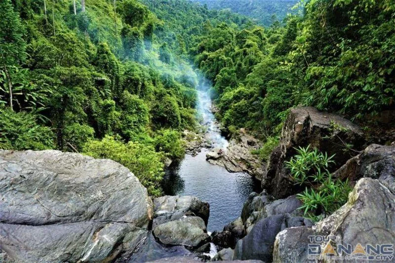 观察自然（鸟类、蝴蝶、溪边植被）