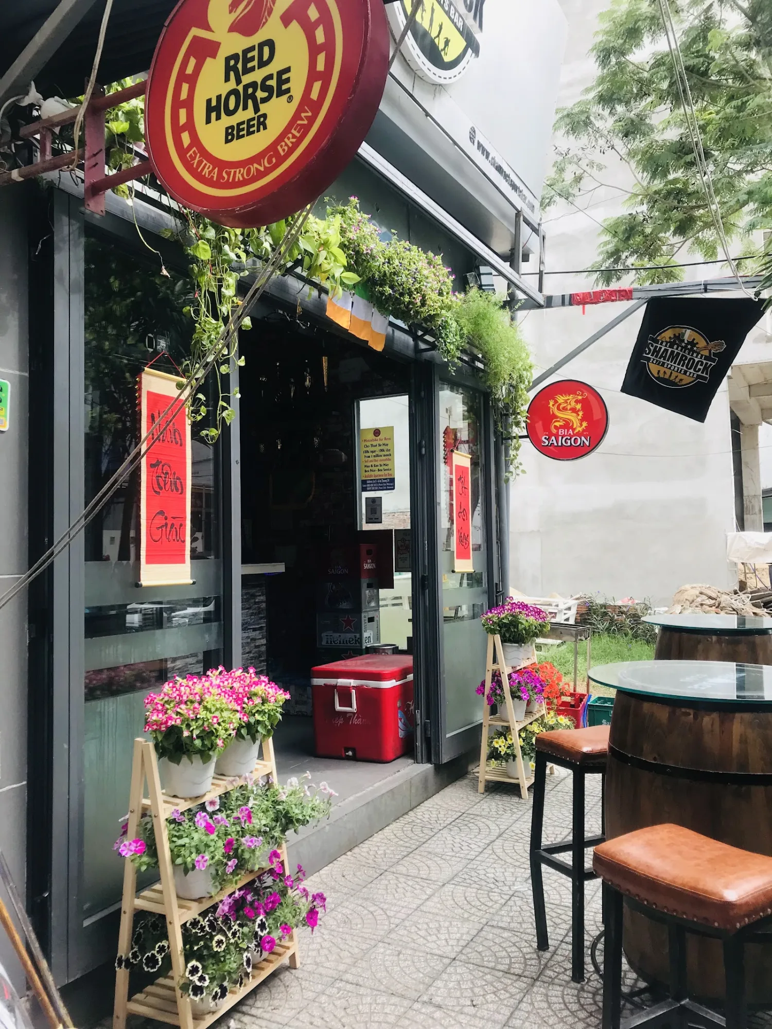 原版三叶草岘港：活力爱尔兰体育酒吧在安上通宵营业