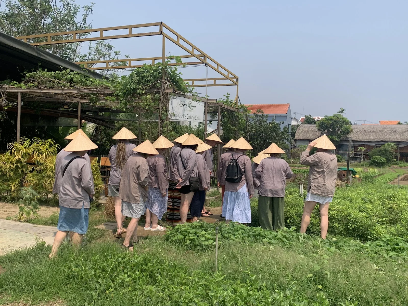 Làng Rau Trà Quế : Ngôi Làng Hữu Cơ 400 Năm Giữa Lòng Hội An