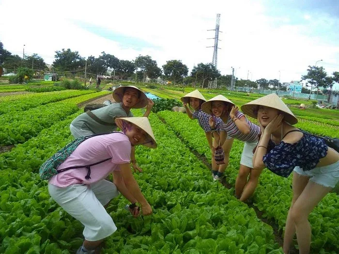 漫步菜园，在绿垄间拍照