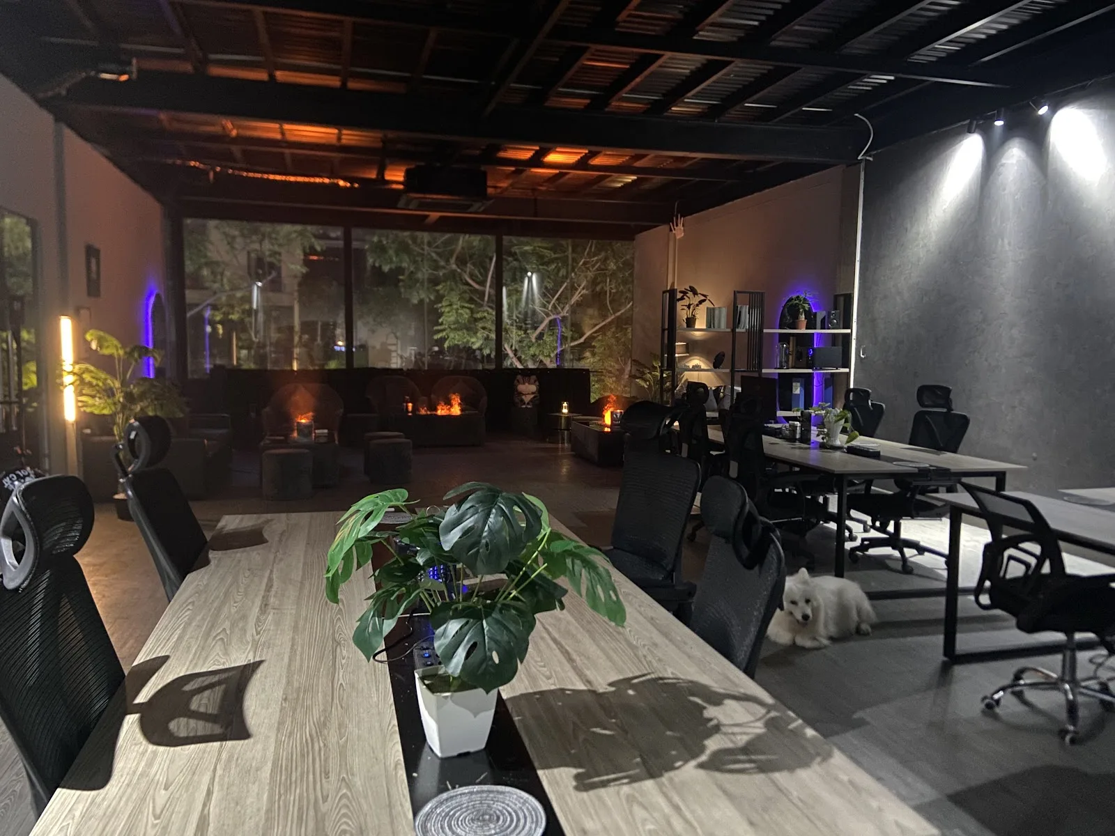ASH - Cafe & Lounge: พื้นที่กาแฟหรูหราและเลานจ์สไตล์ในถนนอันทงเวสต์