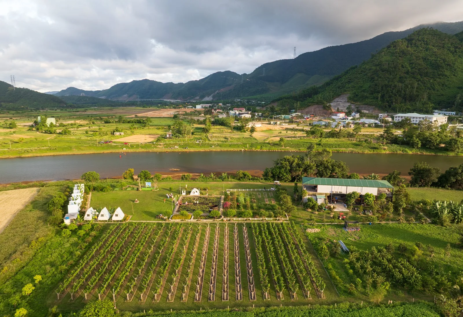 探索 Yên Valley：岘港宁静的葡萄谷