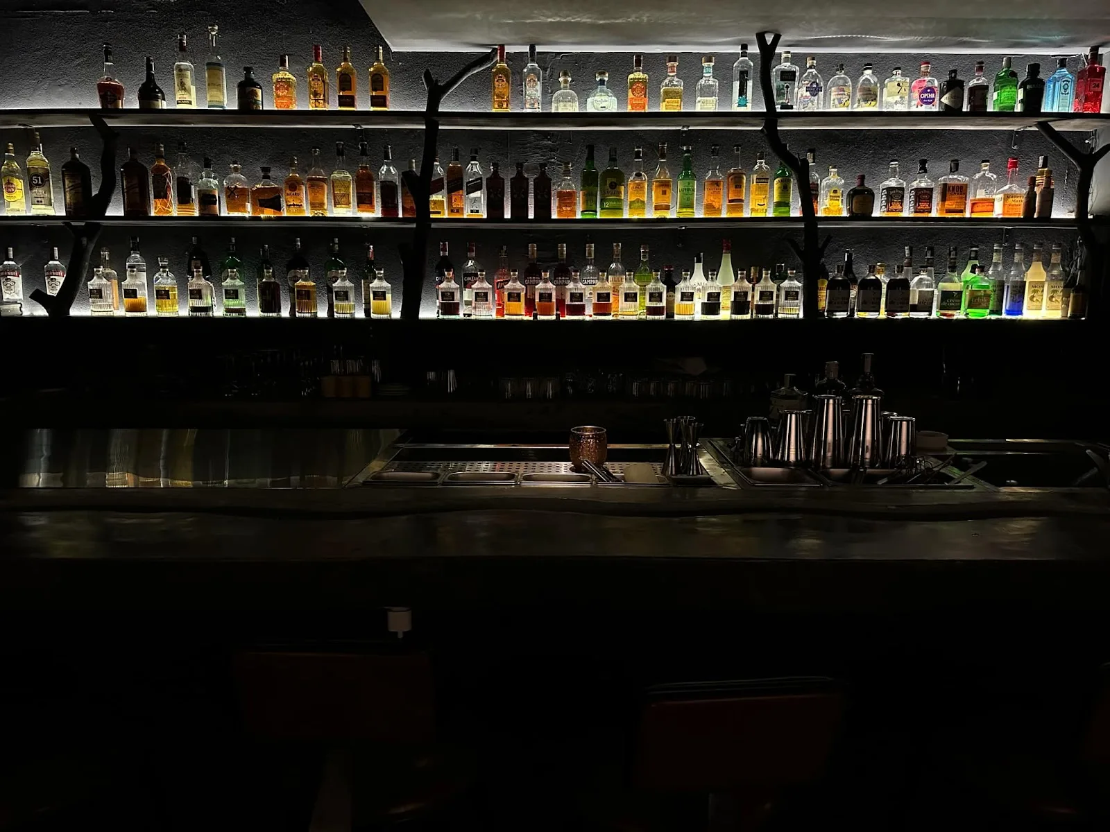 Black Wolf Bespoke Cocktail Bar – A Unique and Classy Hidden Bar Without a Menu