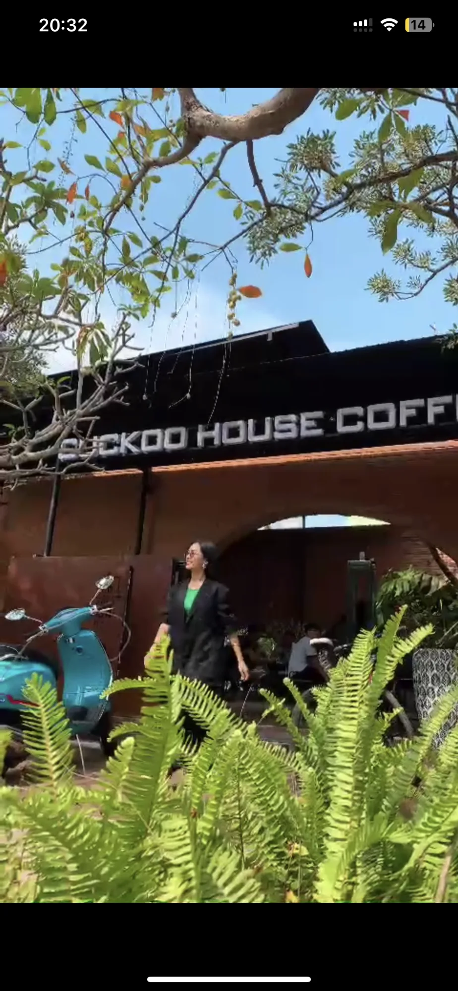 Cuckoo House Coffee Da Nang – A Peaceful Garden Cafe in Hoa Xuan