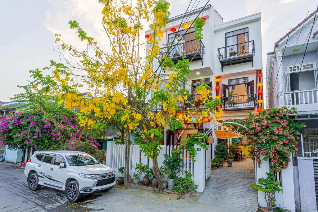 Homestay Cat' Home: Homestay Nuôi Mèo Phong Cách Ấm Cúng Ngay Gần Phố Cổ Hội An