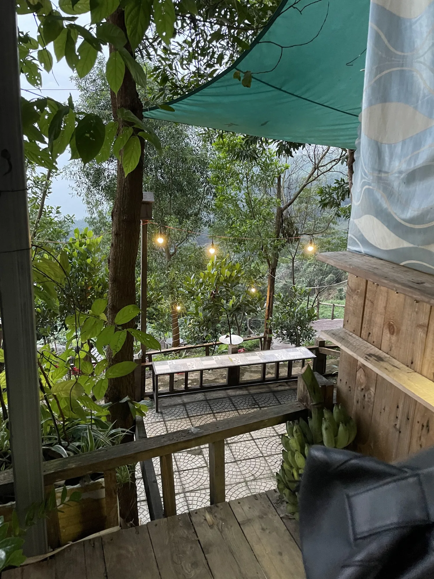 Cafe Hòn Đá Cụ Rùa: Quán Cà Phê Săn Mây View Biển Đẹp Trên Đèo Hải Vân