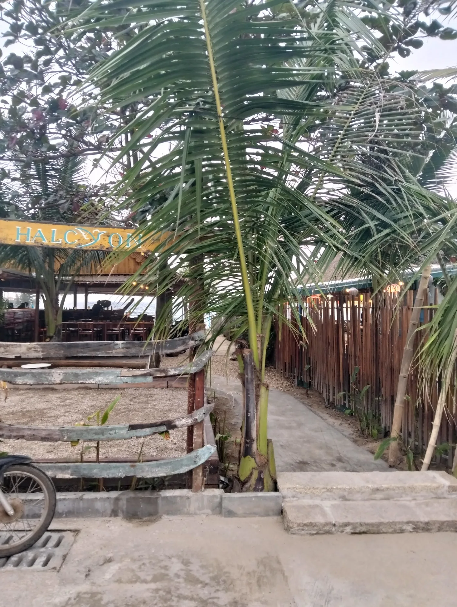 HALCYON BEACH CLUB: Conquer An Bang Beach's Most Vibrant Music Festival