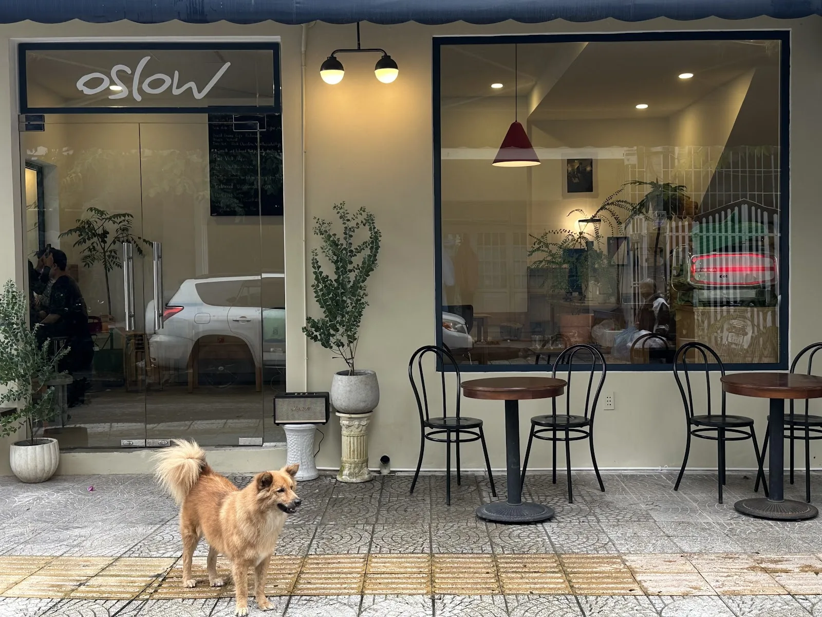 Oslow Coffee: เช็คอินคาเฟ่ทำงานบรรยากาศสงบ โทนสีอบอุ่น