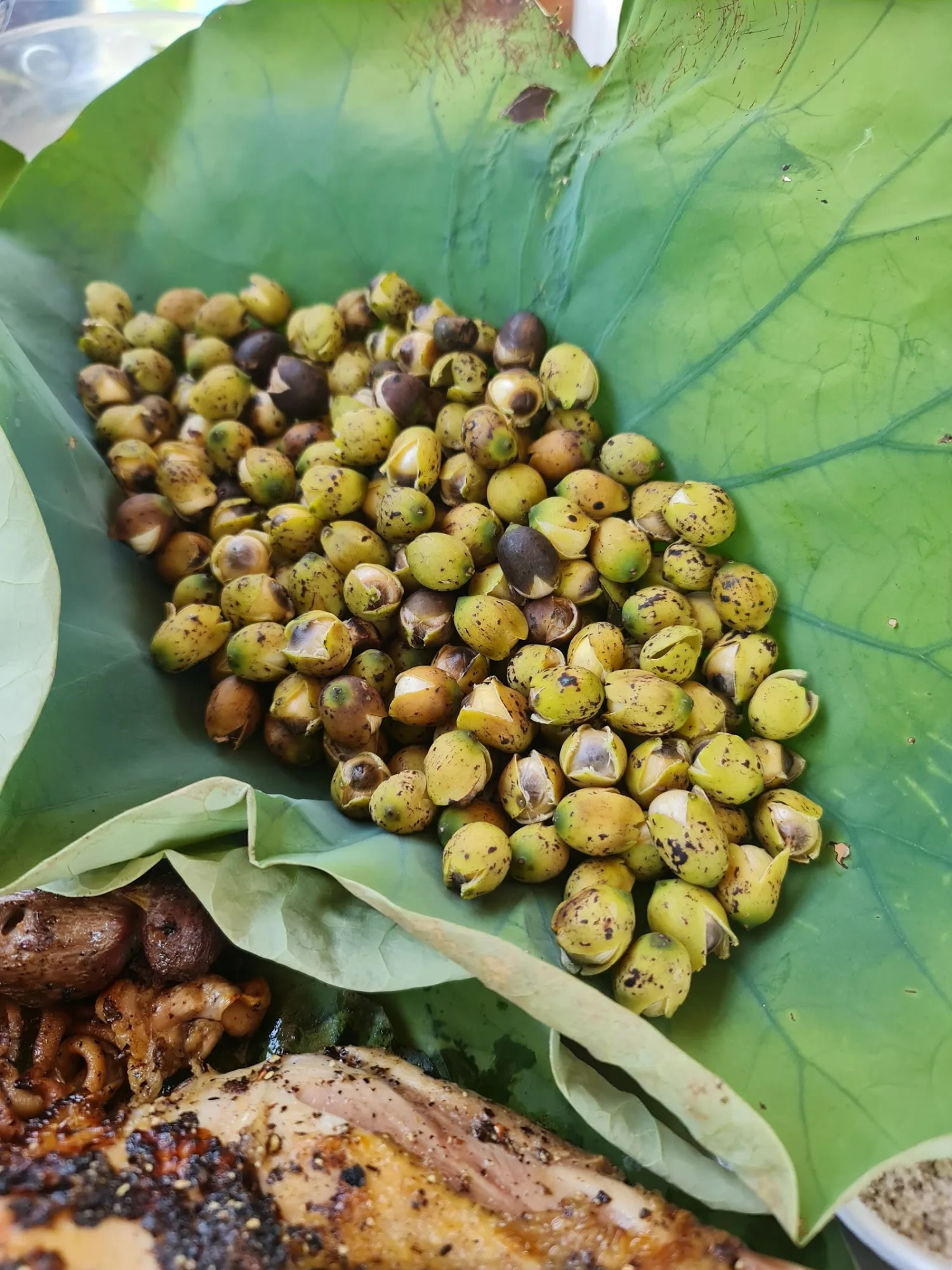 探索茶丽荷花池：岘港中心的一抹红粉画卷