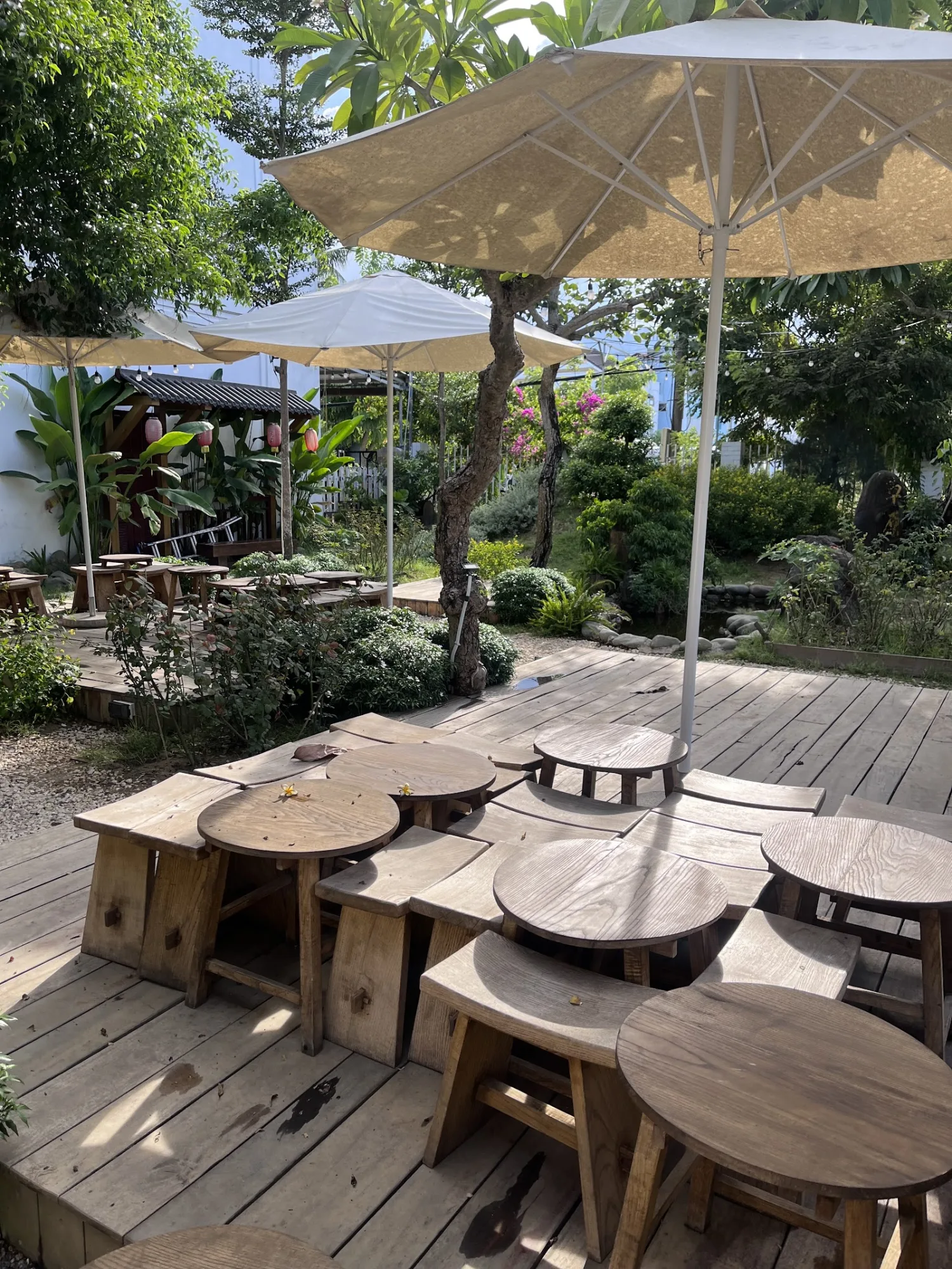 Sunshine Cafe Hoi An - Điểm Hẹn Cà Phê Sân Vườn Đậm Chất Đà Lạt Tại Hội An