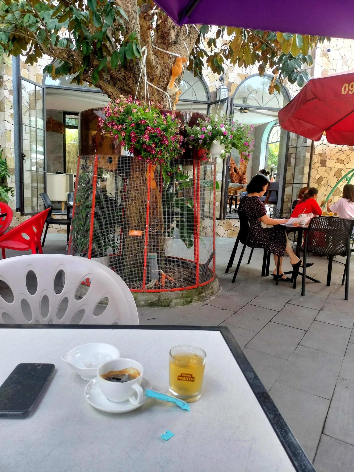 Po Garden Coffee - 캄레의 시원한 정원 카페 경험