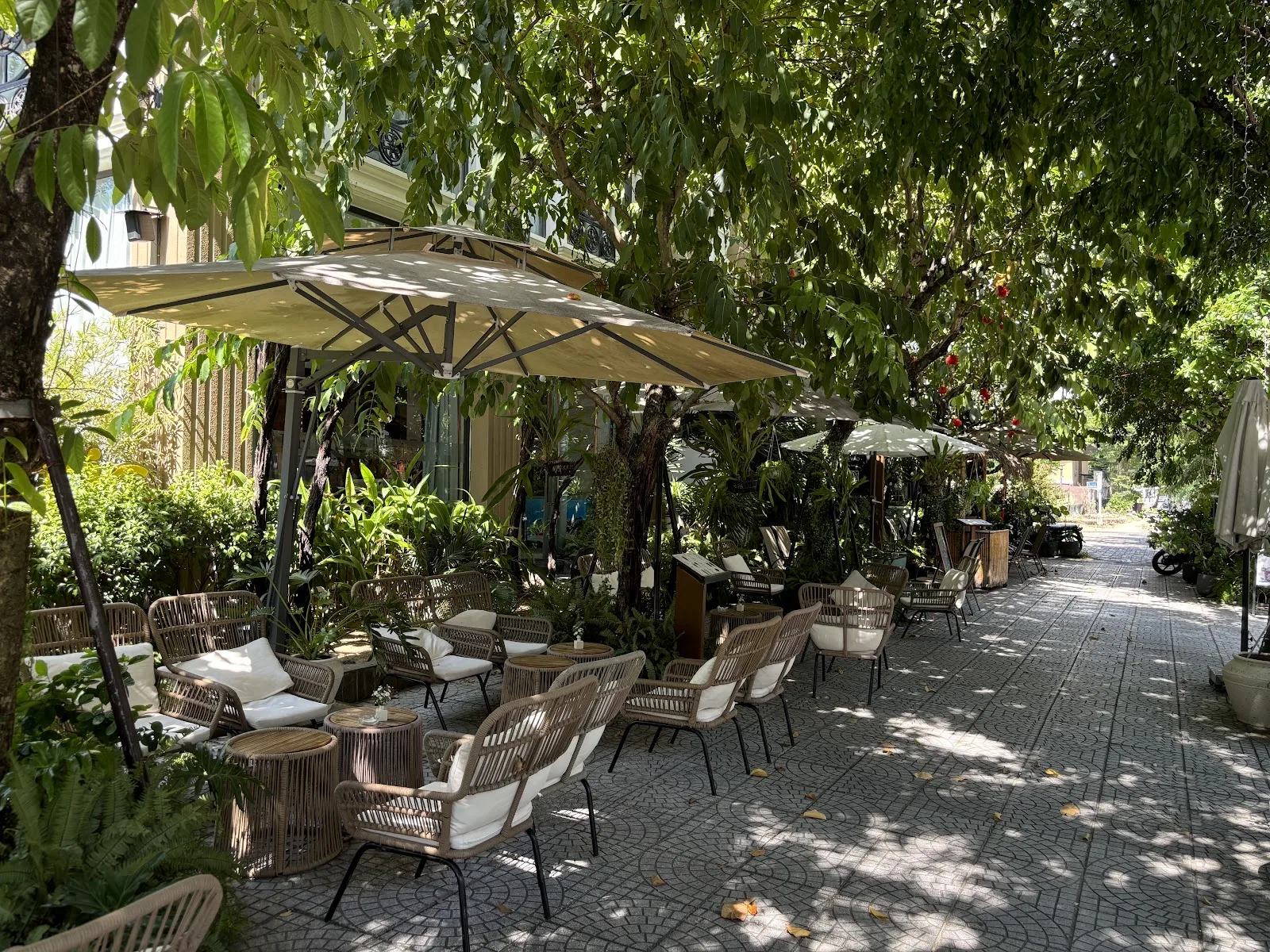 Lofi Cafeteria Đà Nẵng: Check-in Tọa Độ Cà Phê Dừa Béo Bụi