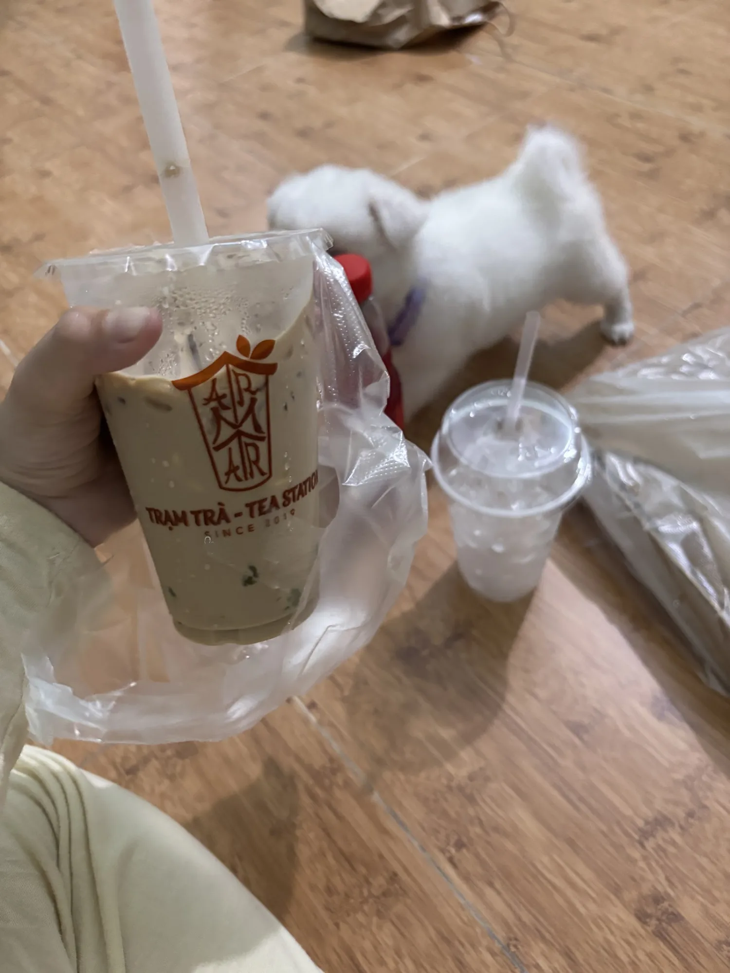Trạm Trà Tea Station：本格的なミルクティーの拠点