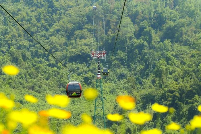 Dnw 1785468975 6143