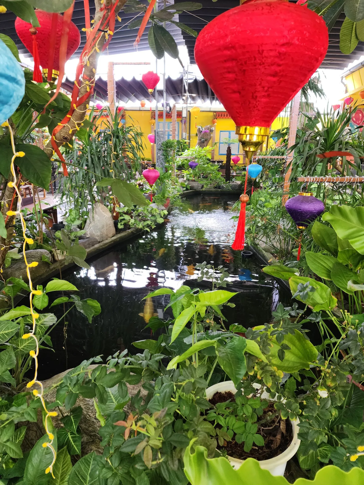 Tour Tâm Linh Nhẹ Nhàng 1 Ngày Đà Nẵng: Phù Hợp Ba Mẹ Lớn Tuổi