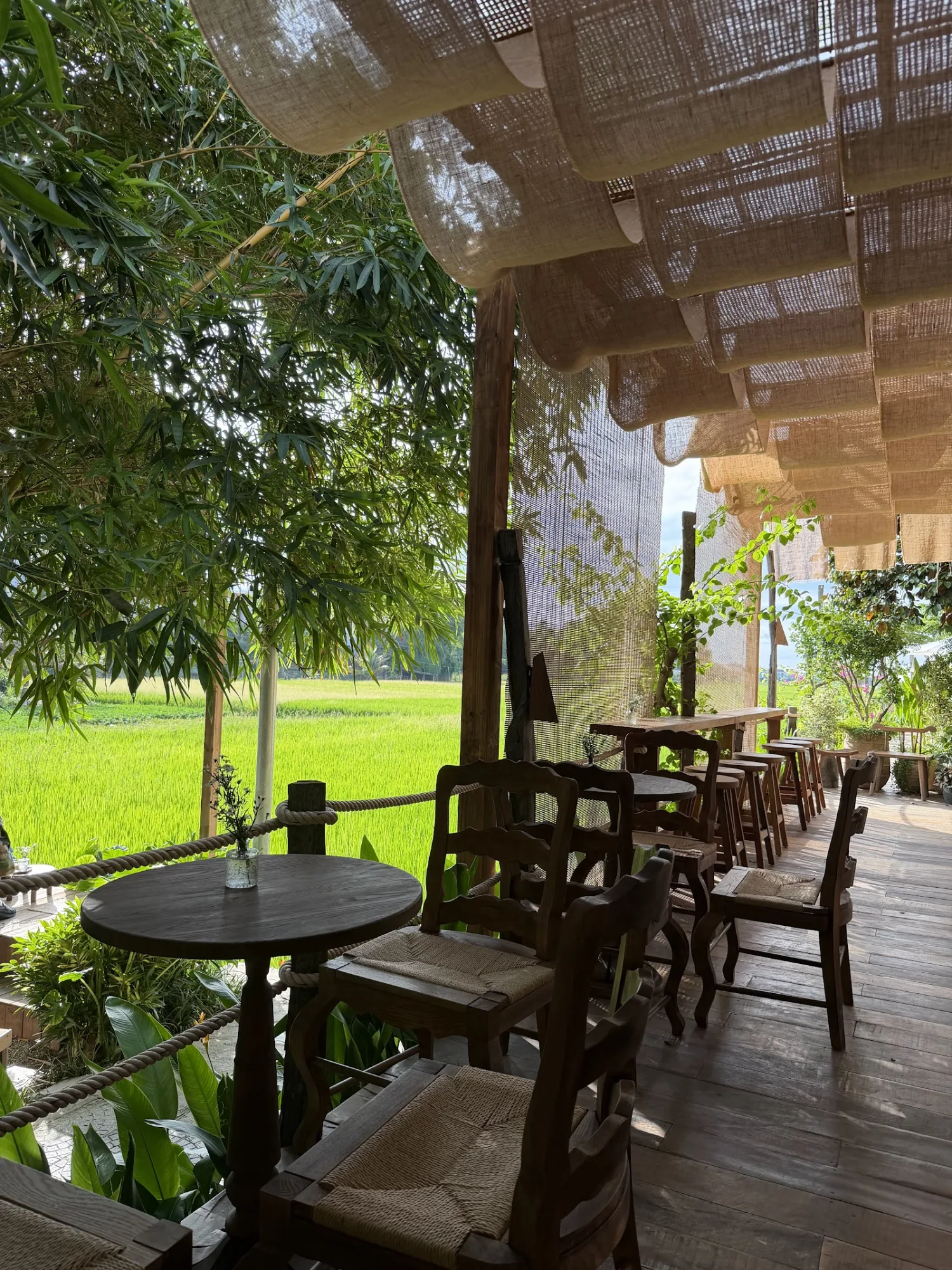 Anora Coffee And Cocktail: Affordable Rice Field View Coffee Spot