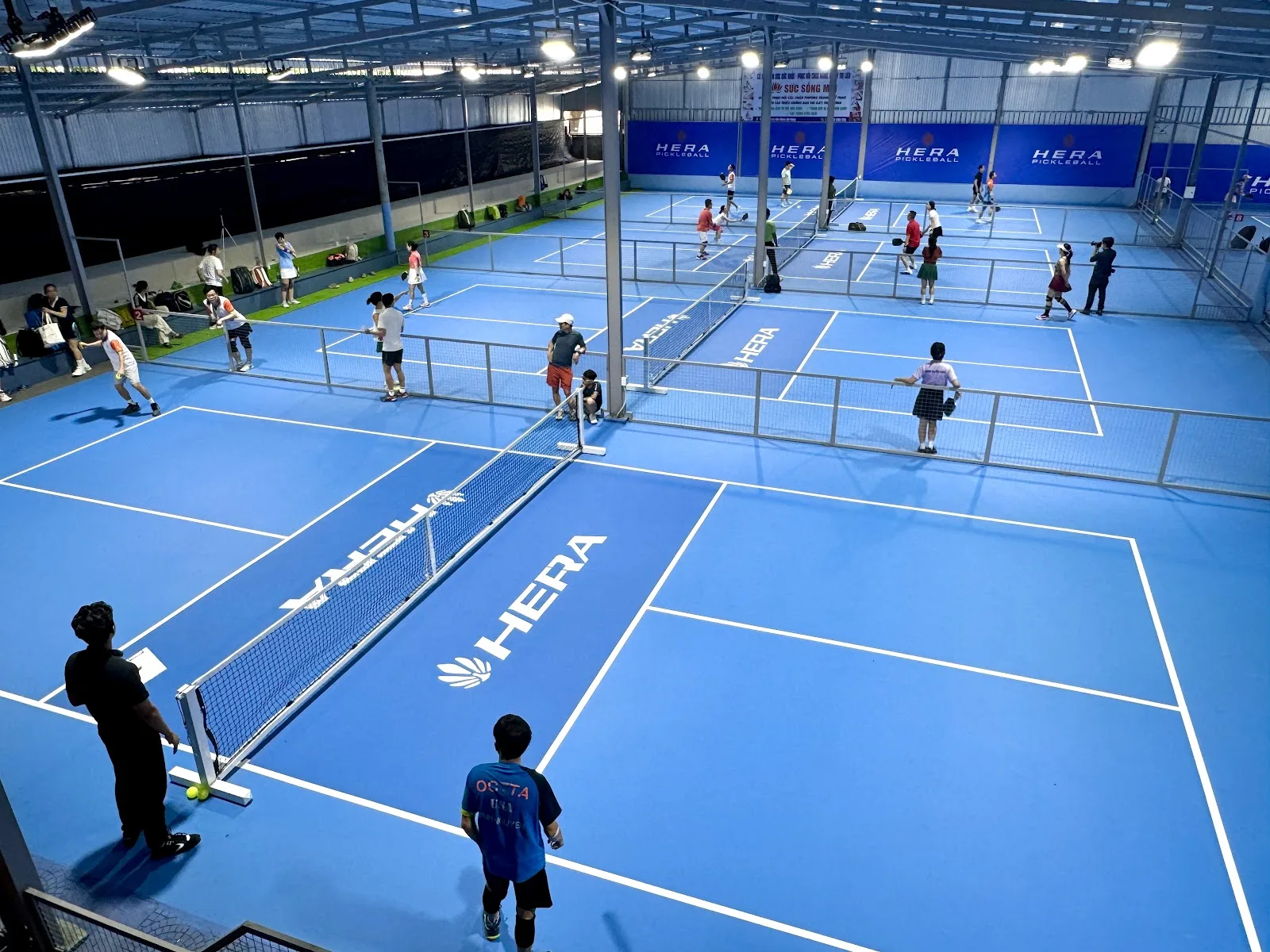 HERA Pickleball 83A - 표준 코트 클러스터