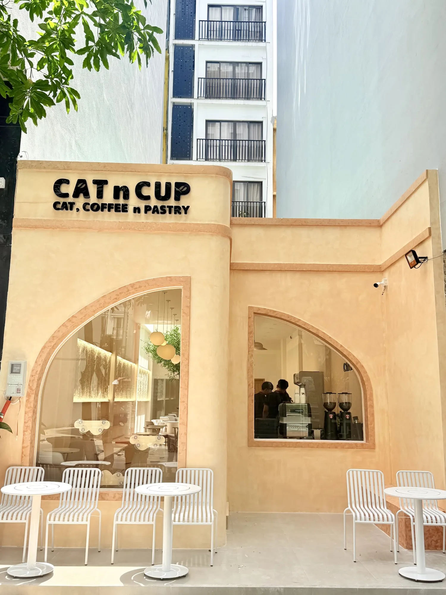 CAT n CUP ดานัง: เปิดวาร์ปคาเฟ่แมวสุดน่ารักที่อานเทือง