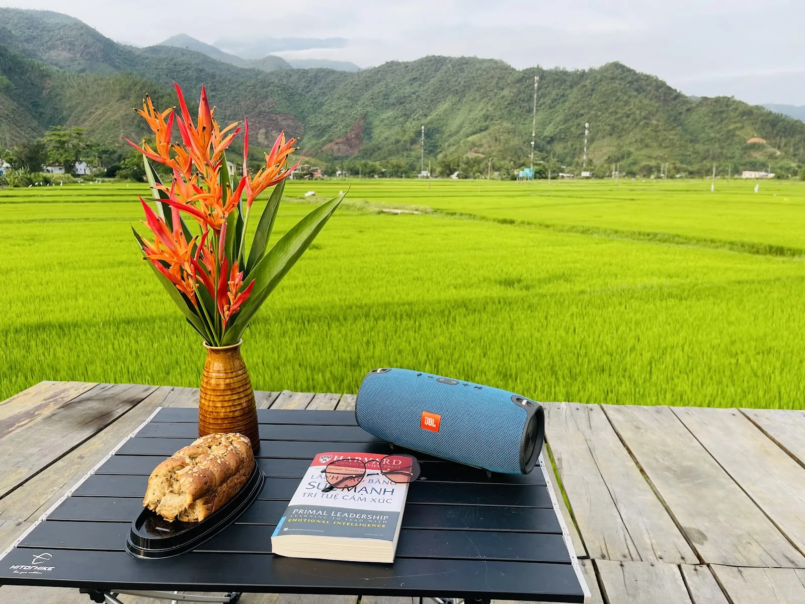 Hoà Bắc Ecolodge - Camping Space Art Hải Vân | Ecolodge Cắm Trại, BBQ, Không Gian Ngoài Trời