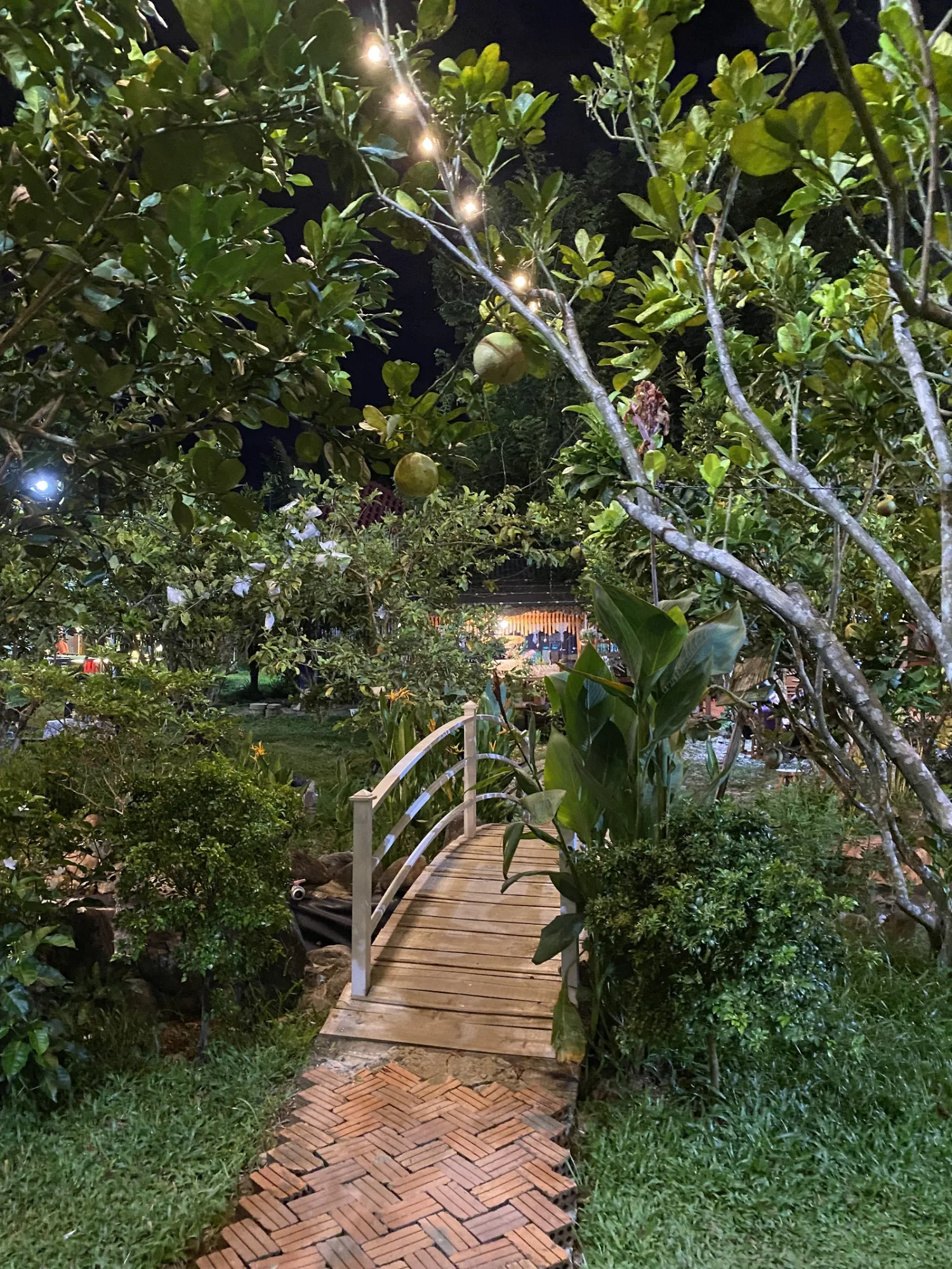 Hương Bưởi Farmstay Hòa Bắc– Không Gian Lưu Trú Xanh Cho Nhóm Có Hồ Bơi